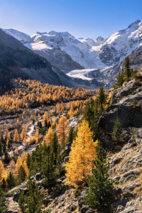 Bild-Nr: 12493221 Herbst im Engadin Erstellt von: Achim Thomae