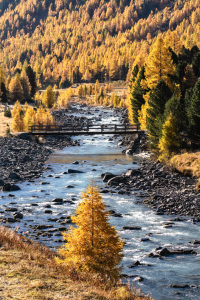 Bild-Nr: 12496345 Herbst Erstellt von: Achim Thomae