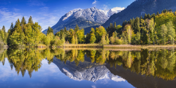 Bild-Nr: 12496847 Herbst in Oberstdorf Erstellt von: Walter G. Allgöwer