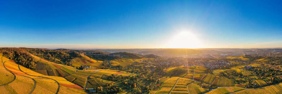 Bild-Nr: 12503189 Luftbildaufnahme Weinberge in Stuttgart Erstellt von: dieterich