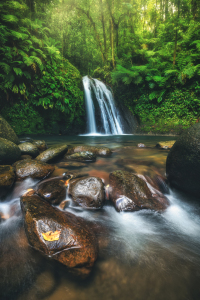 Bild-Nr: 12503412 Guadeloupe Cascade aux Ecrivisses Wasserfall Erstellt von: Jean Claude Castor