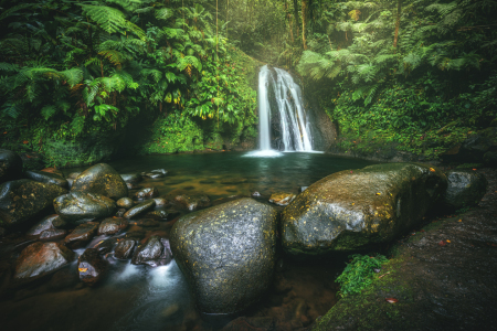 Bild-Nr: 12503423 Guadeloupe Wasserfall im Dschungel Erstellt von: Jean Claude Castor