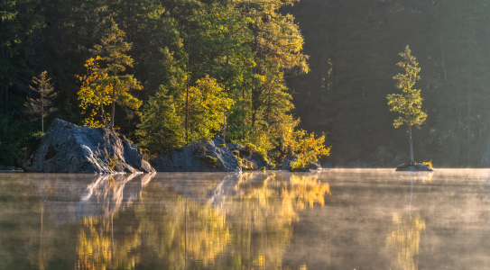 Bild-Nr: 12503971 Morgennebel Erstellt von: Achim Thomae