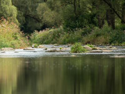 Bild-Nr: 12505092 Wasser mit Steinen Erstellt von: SandraFotodesign