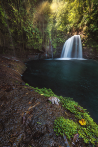 Bild-Nr: 12506507 Wasserfall im Dschungel von Guadeloupe Erstellt von: Jean Claude Castor