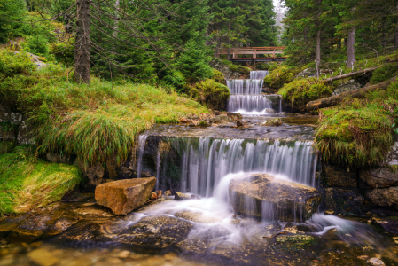 Bild-Nr: 12507281 Im Nationalpark Erstellt von: FotoDeHRO