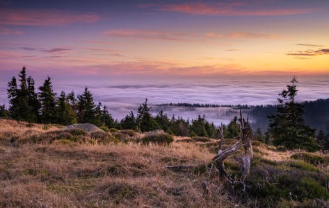 Bild-Nr: 12511323 Blaue Stunde im Harz  Erstellt von: Steffen Henze