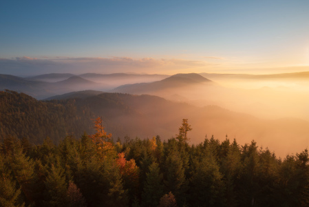 Bild-Nr: 12511670 Der Schwarzwald zeigt sich von der schönsten Seite Erstellt von: Marcel Heinzmann
