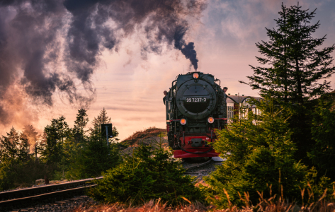 Bild-Nr: 12512083 Lokomotive im Harz  Erstellt von: Steffen Henze