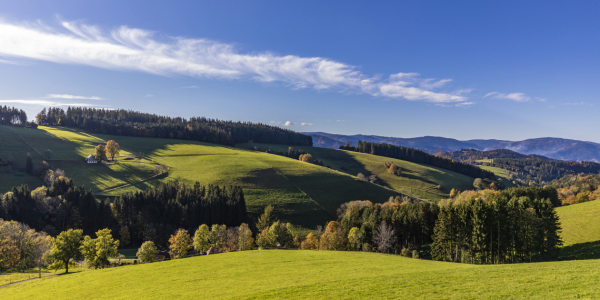 Bild-Nr: 12512100 Landschaft bei Sankt Peter im Schwarzwald Erstellt von: dieterich