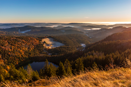 Bild-Nr: 12512106 Blick vom Feldberg über den Schwarzwald  Erstellt von: dieterich