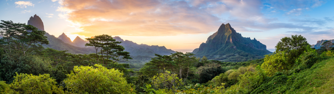 Bild-Nr: 12548537 Sonnenuntergang am Belvedere Lookout auf Moorea Erstellt von: eyetronic