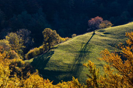 Bild-Nr: 12552265 Herbst im Schwarzwald Erstellt von: dieterich