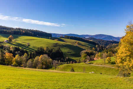 Bild-Nr: 12552271 Schwarzwald bei Sankt Peter  Erstellt von: dieterich