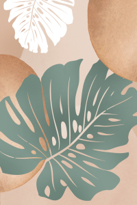 Bild-Nr: 12555349 Monstera Erstellt von: Steffen Gierok