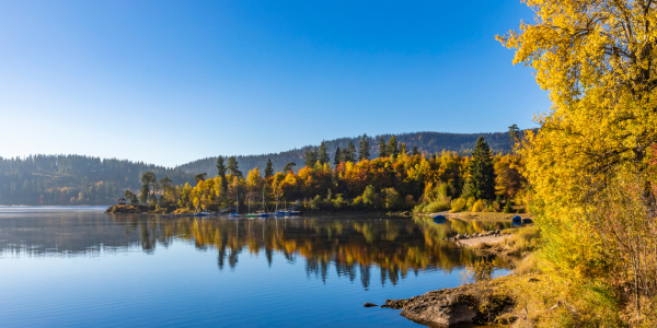 Bild-Nr: 12557377 Herbst am Schluchsee im Schwarzwald  Erstellt von: dieterich