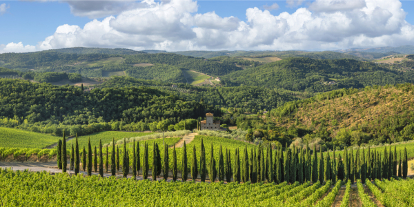 Bild-Nr: 12566422 Zypressenallee in der Toskana Erstellt von: KundenNr-360966
