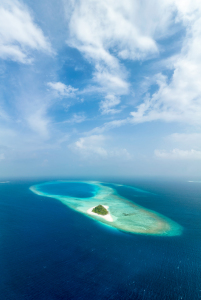 Bild-Nr: 12572201 Hanifaru Bay im Baa Atoll auf den Malediven Erstellt von: eyetronic