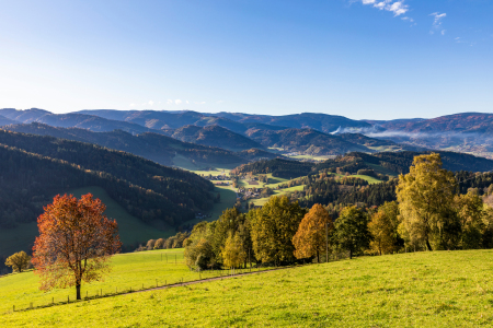Bild-Nr: 12580803 Landschaft bei Sankt Peter im Schwarzwald Erstellt von: dieterich