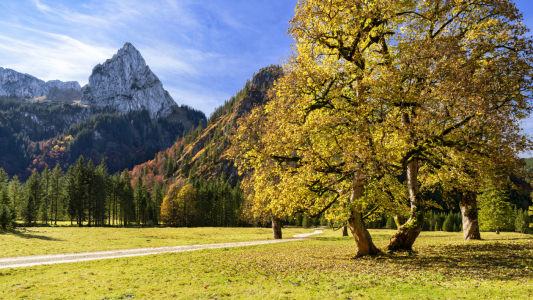 Bild-Nr: 12581096 Herbst in den Ammergauer Alpen Erstellt von: Andreas Föll