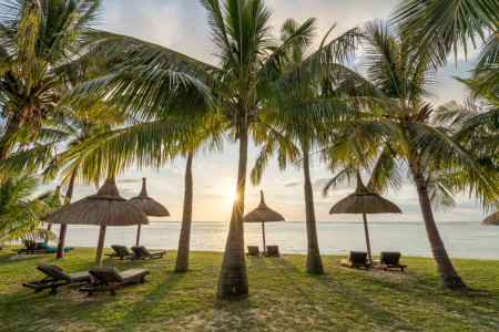 Bild-Nr: 12585436 Sonnenuntergang am Palmenstrand auf Mauritius Erstellt von: eyetronic