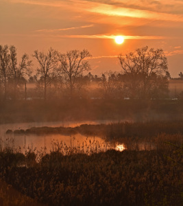 Bild-Nr: 12587779 Morgenstimmung im Moor Erstellt von: GUGIGEI