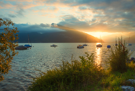 Bild-Nr: 12589665 Sonnenaufgang am Thunersee Erstellt von: SusaZoom