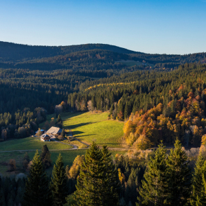 Bild-Nr: 12591678 Bauernhaus im Schwarzwald Erstellt von: dieterich