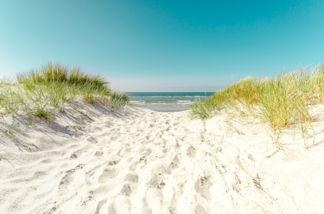 Bild-Nr: 12592314 Stranddüne   Erstellt von: Ursula Reins