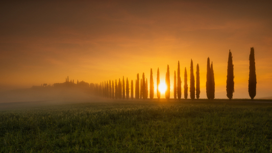 Bild-Nr: 12597641 Sonnenaufgang in der Toscana im Val dOrcia Erstellt von: Rigatoni