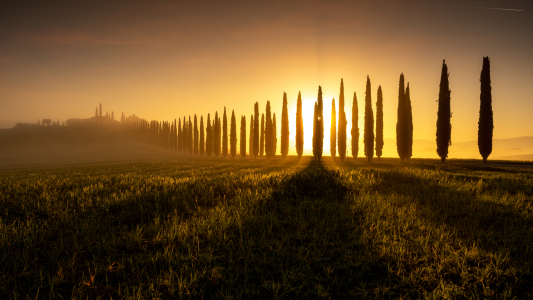 Bild-Nr: 12597645 Sonnenaufgang in der Toscana im Val dOrcia Erstellt von: Rigatoni