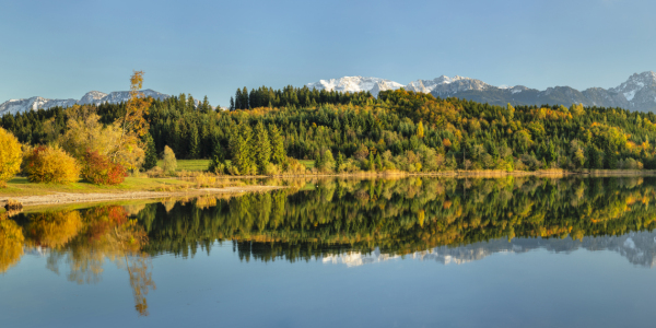 Bild-Nr: 12600425 Forggensee im Herbst Erstellt von: KundenNr-360966