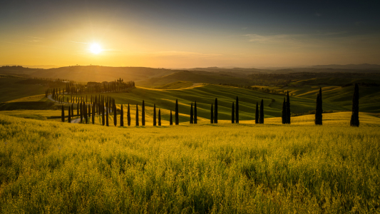 Bild-Nr: 12600574 Sonnenaufgang in der Toscana im Val dOrcia Erstellt von: Rigatoni