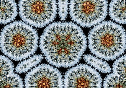Bild-Nr: 12607304 Kaleidoskop Pusteblume Erstellt von: Schwob
