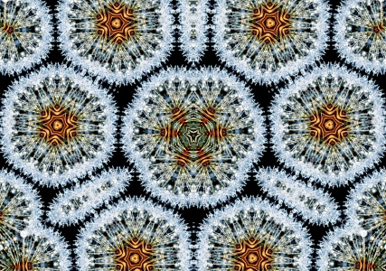 Bild-Nr: 12607304 Kaleidoskop Pusteblume Erstellt von: Schwob