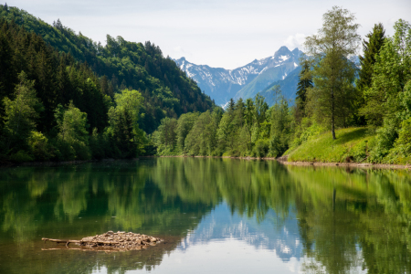 Bild-Nr: 12608462 Auwald See Erstellt von: Steffen Gierok
