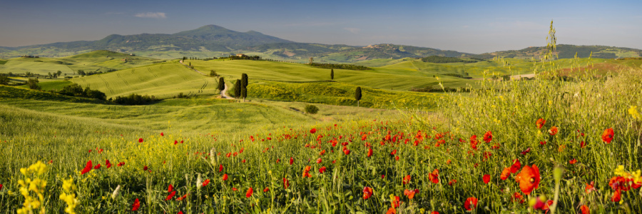 Bild-Nr: 12615040 Orcia-Tal Erstellt von: Walter G. Allgöwer