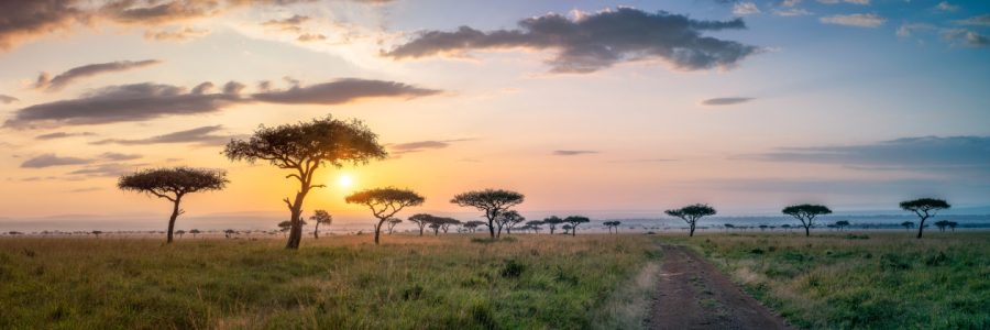 Bild-Nr: 12616586 Masai Mara Panorama bei Sonnenaufgang Erstellt von: eyetronic