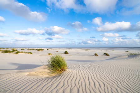 Bild-Nr: 12623437 Dünenlandschaft im Sommer Erstellt von: eyetronic