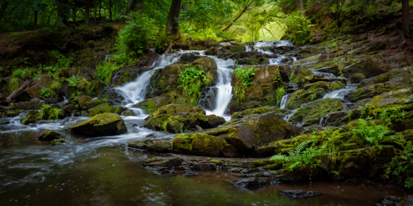 Bild-Nr: 12623506 Selke Wasserfall im Sommer Erstellt von: Martin Martin Wasilewski