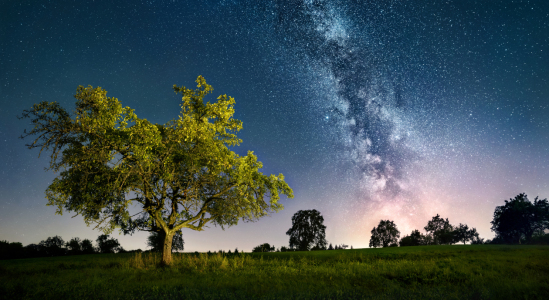 Bild-Nr: 12626544 Nachtlandschaft mit einem beleuchteten Baum und de Erstellt von: Smileus