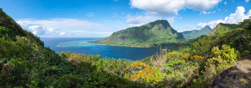 Bild-Nr: 12628748 Opunohu Bay auf Moorea Erstellt von: eyetronic