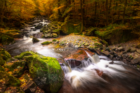 Bild-Nr: 12629073 Der Herbst kommt ins Ilsetal Erstellt von: Steffen Henze