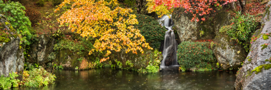 Bild-Nr: 12629711 Japanischer Garten mit Wasserfall Erstellt von: eyetronic