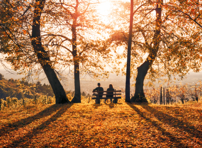 Bild-Nr: 12631610 Paar genießt einen Herbstnachmittag auf einer Bank Erstellt von: Smileus