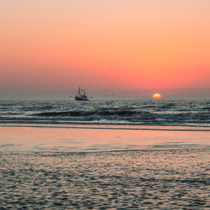 Bild-Nr: 12634994 Fischen bei Sonnenuntergang Erstellt von: Ursula Reins