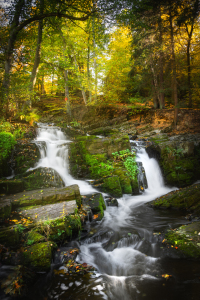 Bild-Nr: 12635823 Selkewasserfall Erstellt von: Steffen Gierok