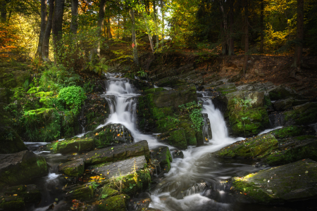 Bild-Nr: 12635824 Selkefall Erstellt von: Steffen Gierok