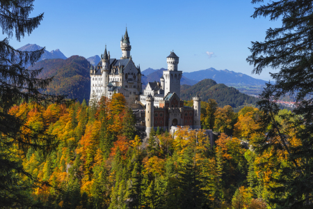 Bild-Nr: 12638079 Schloss Neuschwanstein im Herbst Erstellt von: KundenNr-360966