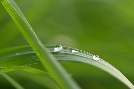 Bild-Nr: 12638840 Einfach Tau  Erstellt von: Einklang